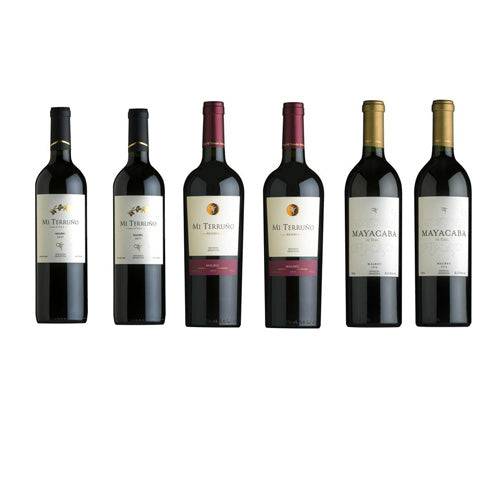 Argentinian Malbec Mixed Case